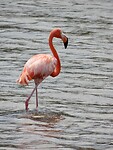 IMG_0089
