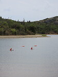 IMG_0086