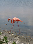 IMG_0082