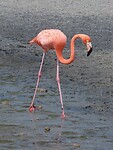 IMG_0079