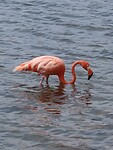 IMG_0074