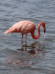 IMG_0070