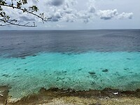 IMG_3107