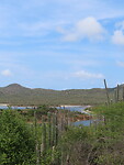 IMG_0065