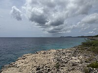 IMG_3103