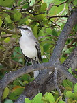 IMG_0060