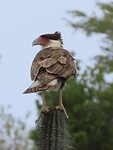 IMG_0057