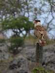 IMG_0055