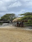IMG_3523