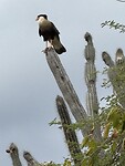IMG_3519