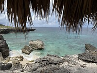 IMG_3504