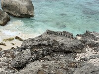 IMG_3503