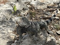 IMG_3497