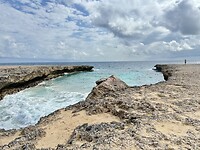 IMG_3464