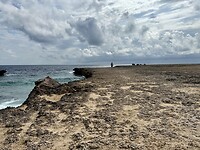 IMG_3461