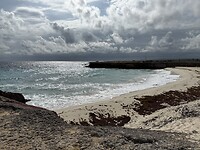 IMG_3452