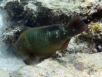 IMG_3653
