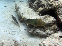 IMG_3654