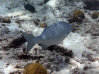 IMG_3656