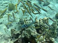IMG_3604