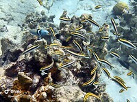 IMG_3655
