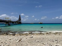 IMG_3741