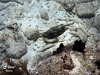 IMG_3746