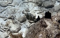 IMG_3759