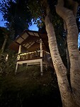 IMG_4291