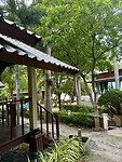 IMG_4288
