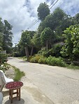 IMG_4282