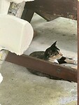 IMG_4280