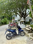 IMG_4279