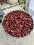 IMG_4276
