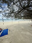 IMG_4275