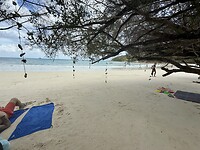 IMG_4274