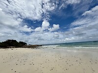 IMG_4263