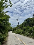 IMG_4259