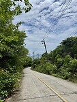 IMG_4255