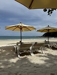 IMG_4334