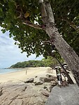 IMG_4324