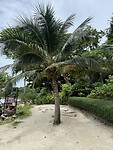IMG_4320
