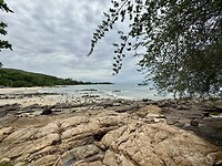 IMG_4316