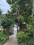 IMG_4309