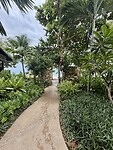 IMG_4308
