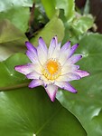 IMG_4306