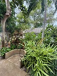 IMG_4302