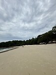 IMG_4298