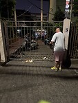 IMG_4571