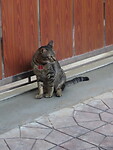 IMG_1302